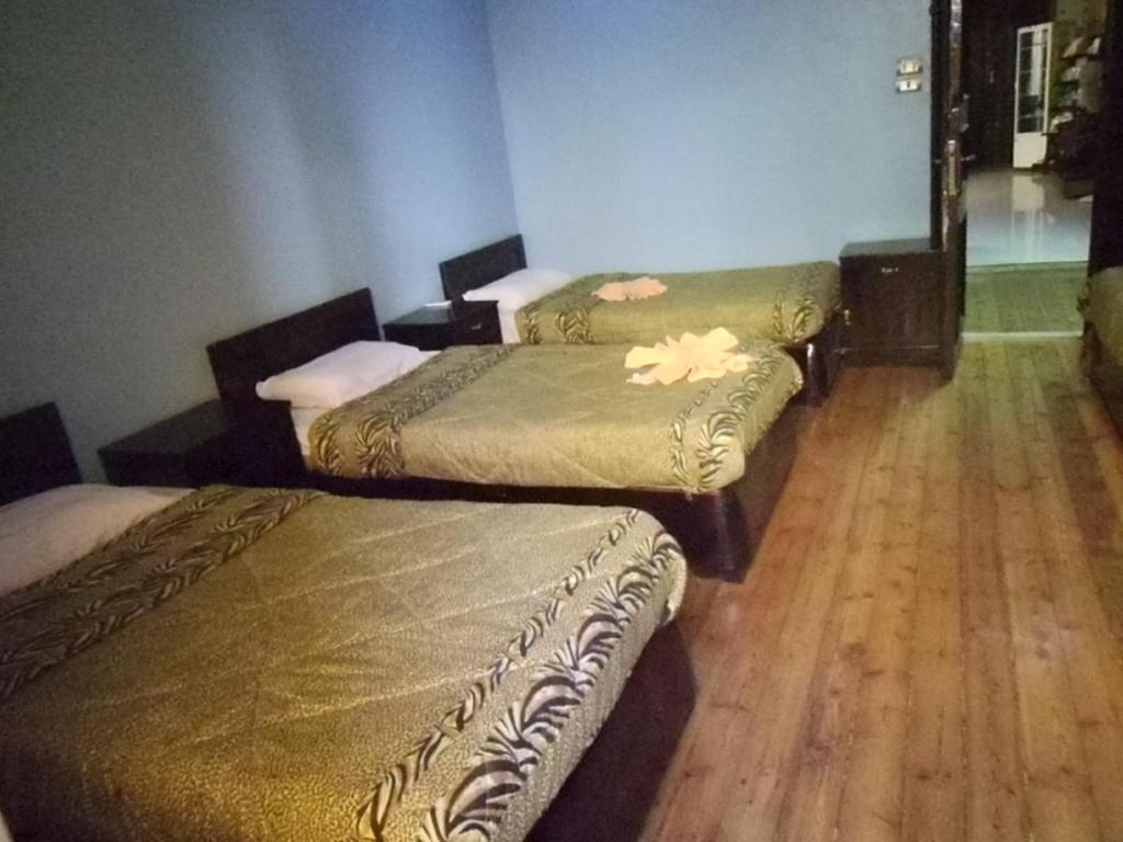 Freedom Hostel Cairo Ngoại thất bức ảnh