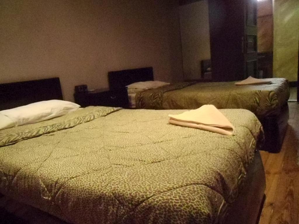 Freedom Hostel Cairo Ngoại thất bức ảnh